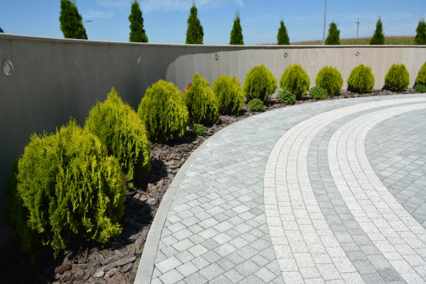 Best Driveway Pavers Near Me  in Hubbard, TX